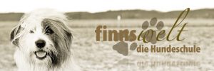 finnswelt