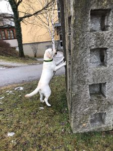 Suchspiele drinnen und draußen